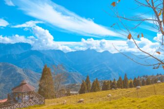 Qingjing Farm 清境農場