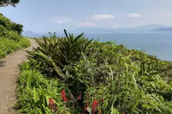 Intimate Taiwan