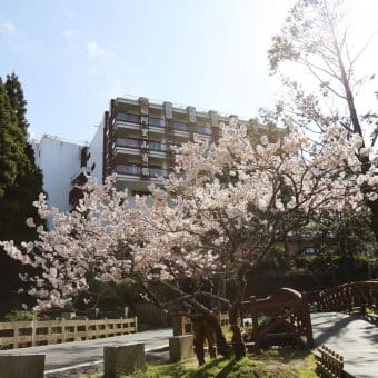 Alishan Guest House