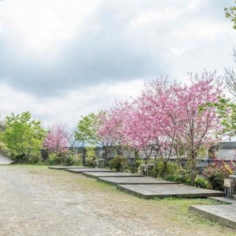 賴坤陽的家 guest house alishan