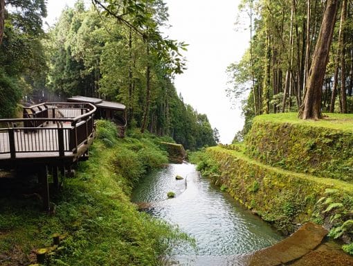 Small Group Tour of Taiwan